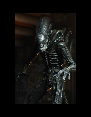 NECA - Alien: 40th Anniversary Serie 3 - Set di 3 Action Figure 