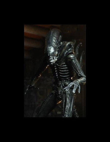 NECA - Alien: 40th Anniversary Serie 3 - Set di 3 Action Figure 