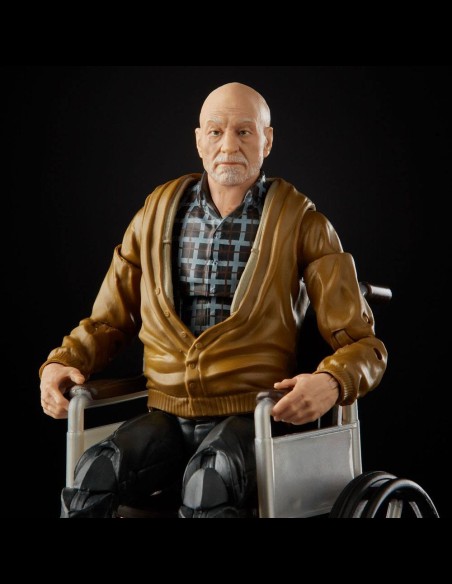 HASBRO - Marvel Legends Series Action Figure 2-Pack 2020 Marvel's Logan & Charles Xavier Exclusive 15 cm