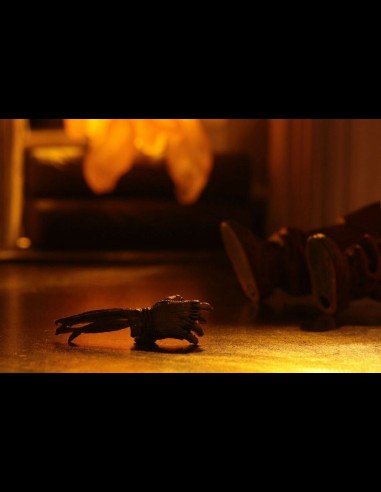 NECA - Trick 'r Treat: Ultimate Sam 7 inch Action Figure