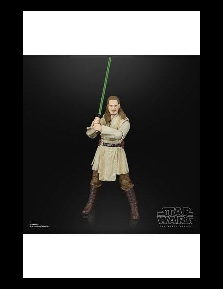 HASBRO - Star Wars Episode I Black Series Lucasfilm 50th Anniversary Action Figure 2021 Qui-Gon Jinn 15 cm