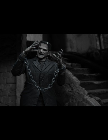 NECA - Frankenstein Ultimate B/W Universal Monsters A.Figure