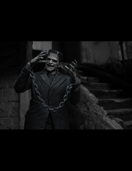 NECA - Frankenstein Ultimate B/W Universal Monsters A.Figure
