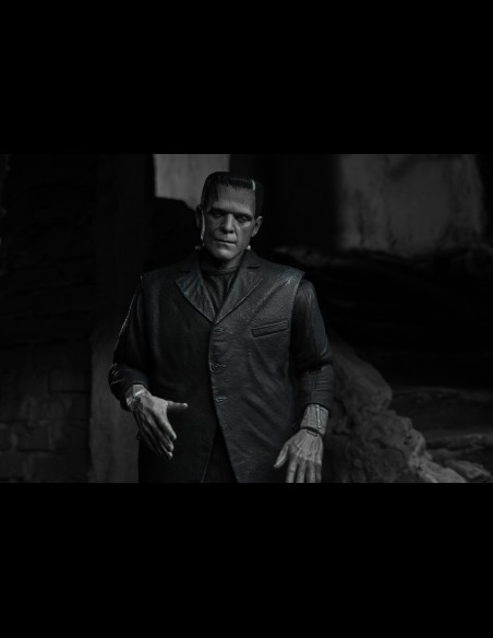 NECA - Frankenstein Ultimate B/W Universal Monsters A.Figure