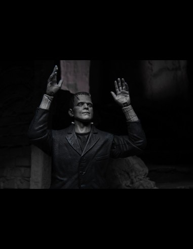 NECA - Frankenstein Ultimate B/W Universal Monsters A.Figure
