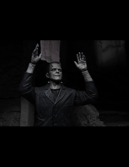 NECA - Frankenstein Ultimate B/W Universal Monsters A.Figure