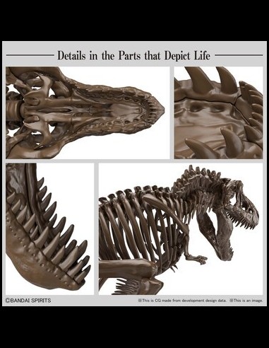 BANDAI - Imaginary Skeleton Tyrannosaurus T-Rex Model Kit 1/32