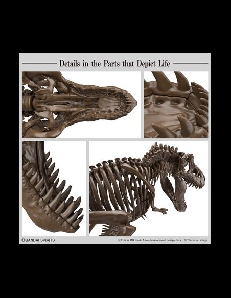 BANDAI - Imaginary Skeleton Tyrannosaurus T-Rex Model Kit 1/32