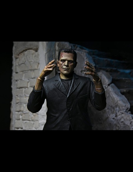 NECA - Frankenstein Color Ed. Universal Monsters Ultimate