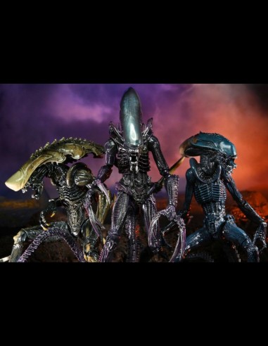 NECA - AvP Alien Movie Deco Set di 3 A.Figure