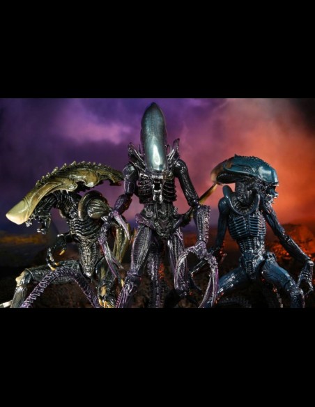 NECA - AvP Alien Movie Deco Set di 3 A.Figure