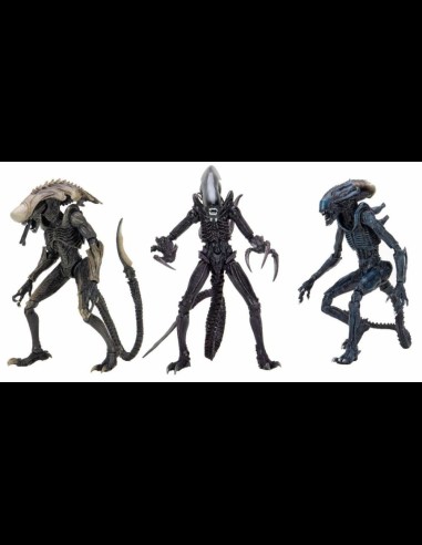 NECA - AvP Alien Movie Deco Set di 3 A.Figure