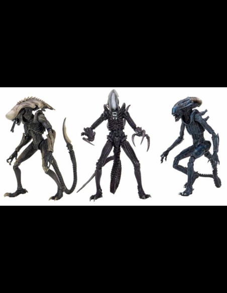 NECA - AvP Alien Movie Deco Set di 3 A.Figure