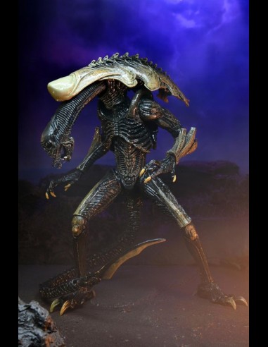 NECA - AvP Alien Movie Deco Set di 3 A.Figure