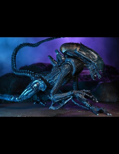 NECA - AvP Alien Movie Deco Set di 3 A.Figure