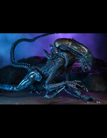 NECA - AvP Alien Movie Deco Set di 3 A.Figure