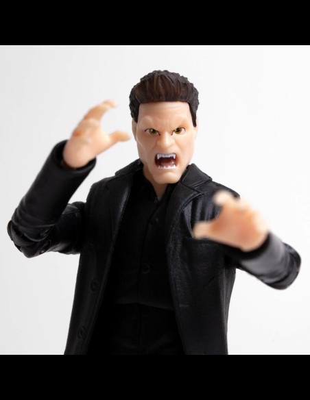 Buffy the Vampire Slayer: Angel 5 inch BST AXN Figure