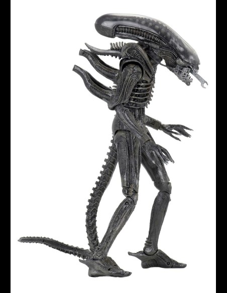 NECA - Alien 40th Anniversary The Alien Xenomorph A.Figure