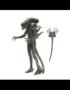 NECA - Alien 40th Anniversary The Alien (Giger) with Facehugger A.Figure 2