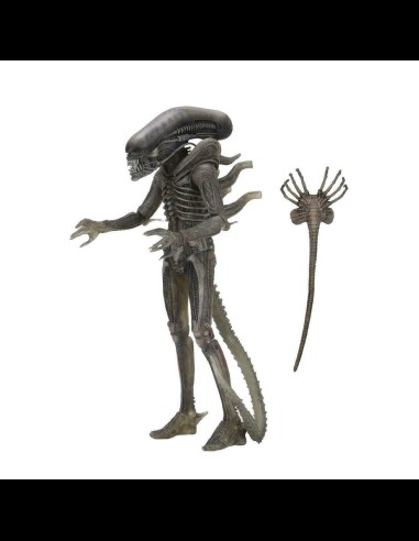 NECA - Alien 40th Anniversary The Alien (Giger) with Facehugger A.Figure