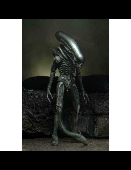 NECA - Alien 40th Anniversary The Alien (Giger) with Facehugger A.Figure