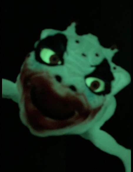 JACAL - Boglins First Edition Dark Lords Blobkin - Bag o Bones - Crazy Clown