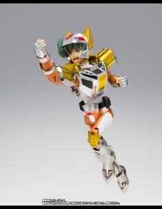 BANDAI - Saint Seiya Saint Cloth Myth Steel Saint Landcloth Daichi Revival Version) 2