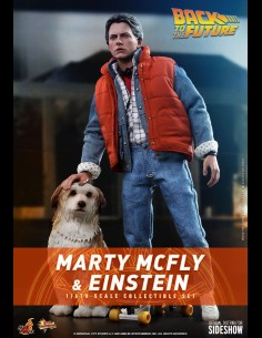 HOT TOYS EXCLUSIVE - Back To The Future Movie Masterpiece Action Figures 1/6 Marty McFly & Einstein 28 cm 2
