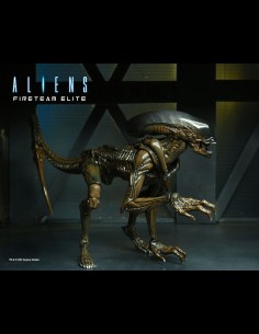 NECA -  Aliens: Fireteam Elite 23 cm Set di 2 A.Figure 2