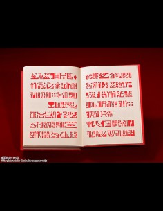 BANDAI - Zatch Bell Red Spellbok Proplica 2