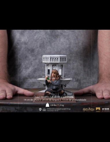 IRON STUDIOS EXCLUSIVE - Harry Potter Hermione Polyjuice 1/10 Statua