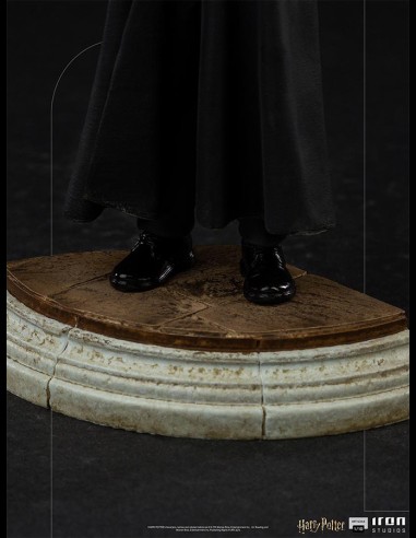IRON STUDIOS - Harry Potter 1/10 Statua